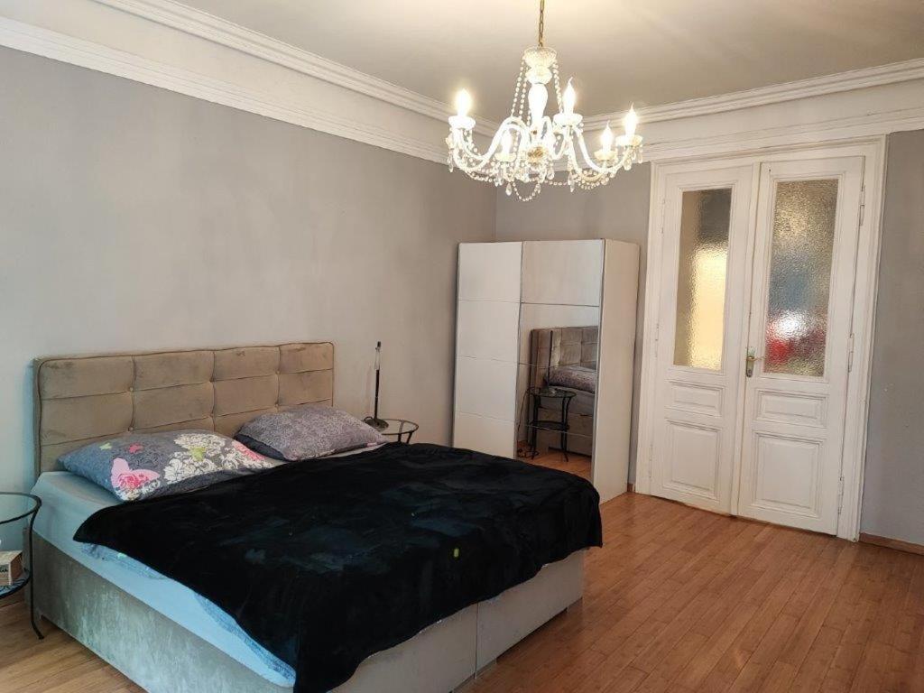 Central Vienna Apartment With Unique 40M2 City Garden & Self Check In Экстерьер фото